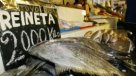Informe: Seremi de Salud del Biobío lamentó aumento de intoxicaciones con mariscos