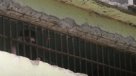 Alcaide de la cárcel de Puente Alto relató la fuga de reos