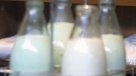 Fonterra, el gigante que domina el negocio de los lácteos en el mundo