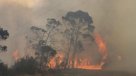 Noventa incendios forestales amenazan a Australia