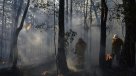 Oleada de incendios forestales se intensifica en el este de Australia