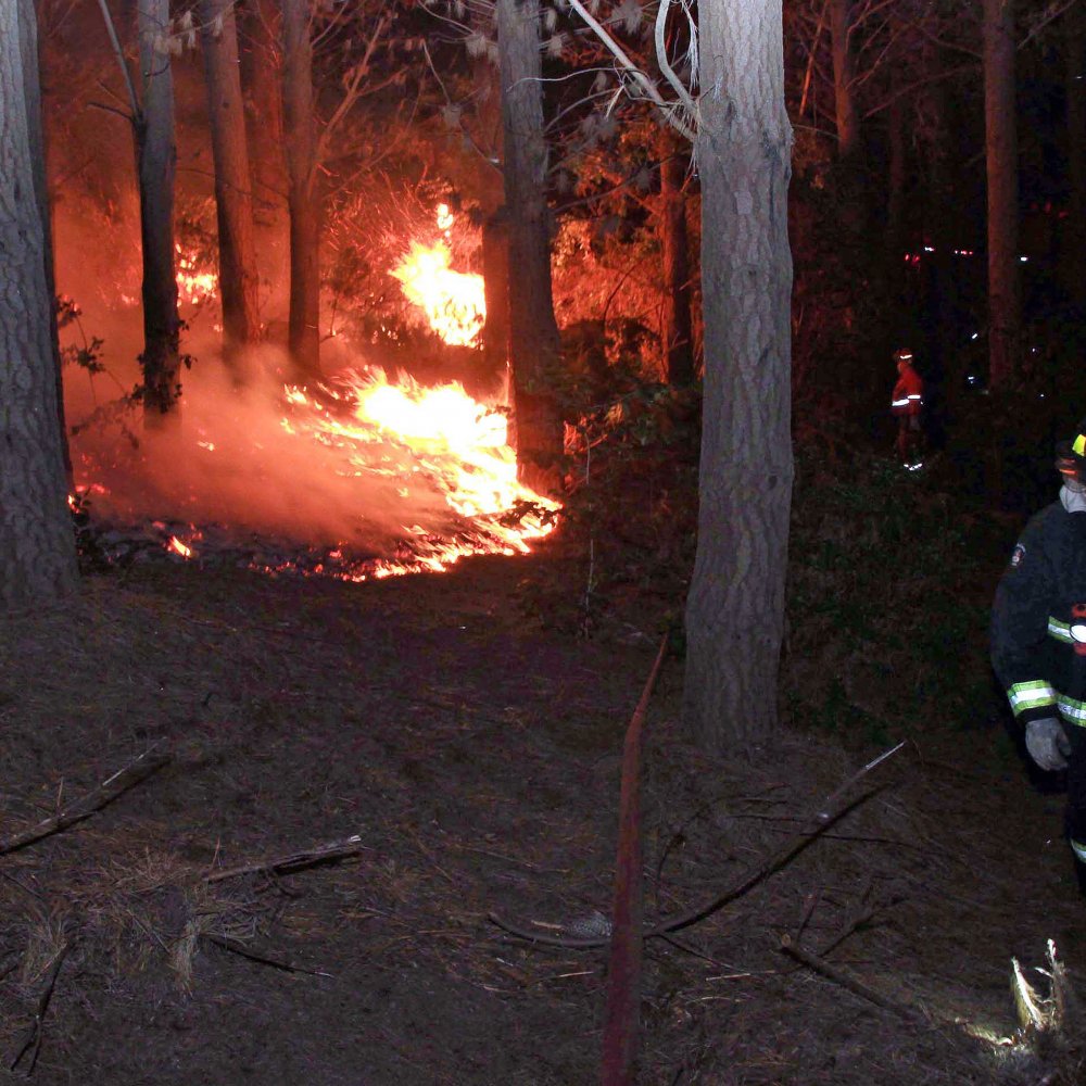 Incendios Forestales Ya Han Destruido Mil Hect Reas Cooperativa Cl