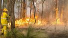 Incendios forestales dejan un muerto y más de 40 casas arrasadas en Australia