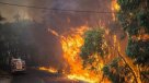 Incendios forestales destruyen 40 casas en Australia