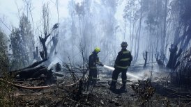 También se encuentra activo el siniestro en Villa Errázuriz, en el sector Los Olivos de Quebrada del Cura.