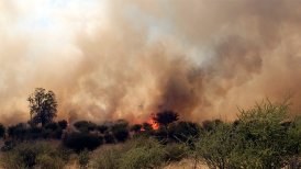 Bomberos evacuó viviendas en el sector de Lomas de Curacaví.