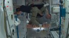 Así se divierten los tripulantes de la Estación Espacial Internacional