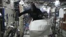 Un astronauta se disfrazó de gorila para asustar a su colega