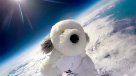 El mágico vuelo estelar de un perro de peluche que terminó perdido en el espacio
