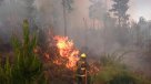 Onemi mantiene alerta roja por incendio forestal en Valparaíso