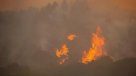 Incendio forestal se registra en Sudáfrica