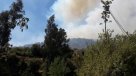 Onemi declaró Alerta Roja para las comunas de Limache y Quillota por incendio forestal