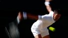 Kerber, Wozniacki, Federer y Djokovic volvieron a brillar en Wimbledon
