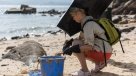 Cierran 11 playas de Hong Kong por contaminación con aceite de palma