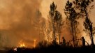 Portugal pidió ayuda exterior para afrontar gran cantidad de incendios forestales