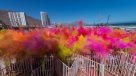 Antofagasta disfrutó la feliz experiencia de The Color Run