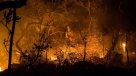 Incendio consume al menos 35 mil hectáreas de un parque nacional en Brasil