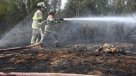 Cuatro regiones en alerta por riesgo de incendios forestales