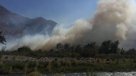 Incendio forestal ha consumido siete hectáreas en la Región de Coquimbo