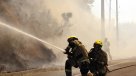 Incendio forestal en Quilpué consumió casi seis hectáreas