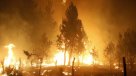 Formalizan a tres trabajadores por incendios forestales del verano pasado en La Araucanía