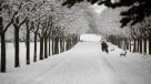 Intensas nevazones tiñen de blanco varias ciudades de España