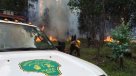 Incendio forestal afectó 120 hectáreas en Isla de Pascua