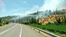 Incendios forestales en Casablanca y Los Andes mantienen en alerta a la Región de Valparaíso