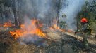 En Cartagena, Quilpué y Villa Alemana continúa la alerta roja por incendios forestales