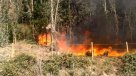 Decretan Alerta Amarilla para la región del Biobío por incendios forestales