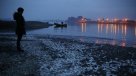 Marea roja en Chiloé: Se prohíbe extracción de mariscos en todo Quellón y Queilén