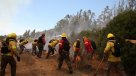 Intendencia del Maule declara alerta roja para Vichuquén por incendio forestal