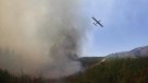 Incendios forestales han disminuido un 20 por ciento en relación a la temporada 2016-2017