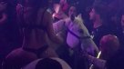 Bailarina semidesnuda ingresó a una discoteca a caballo y desató caos