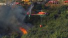 Autoridades decretan Alerta Roja para Viña del Mar por incendio forestal