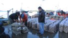 Chiloé: Decomisan cerca de nueve toneladas de almejas con marea roja
