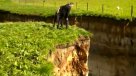 Una enorme grieta apareció en Nueva Zelanda sorprendiendo a científicos