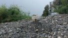 Chaitén: Temblor provocó caída de cerro y corte de camino