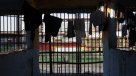 INDH reveló hacinamiento, celdas sin agua y maltratos en cárceles de Chile