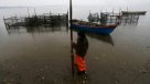 Greenpeace y fallo a favor de Chiloé: El Estado y las salmoneras engañaron al país