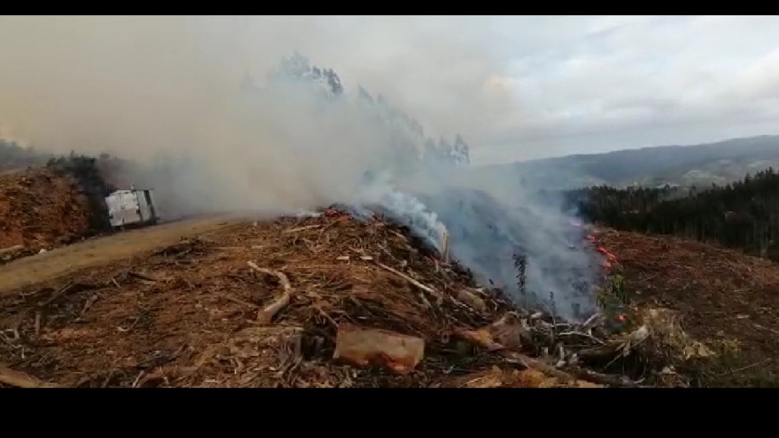 Atentado Deja Tres M Quinas Forestales Quemadas En La Araucan A