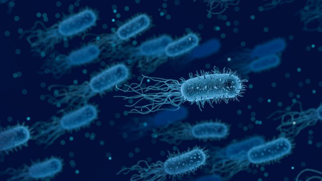  Investigadores chilenos descubren cómo evitar que bacterias se acumulen en los rincones  