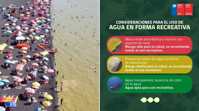 Video Lago Villarrica Llaman A Evitar Contacto Con El Agua