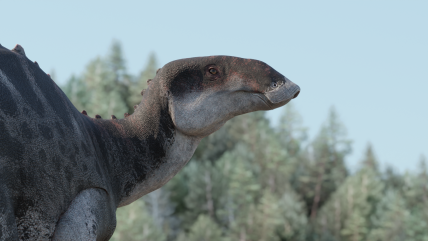   Congreso Futuro: La Patagonia hace 72 millones de años con el dinosuario pico de pato como su habitante 