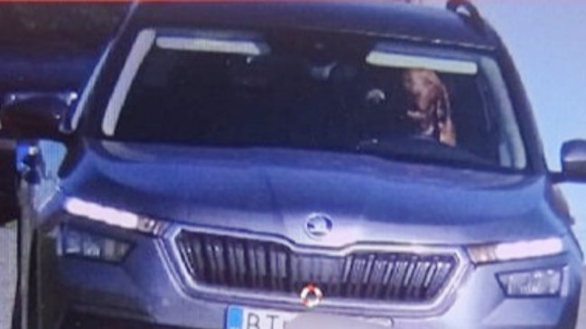   Captan a perro manejando a exceso de velocidad en autopista de Eslovaquia 