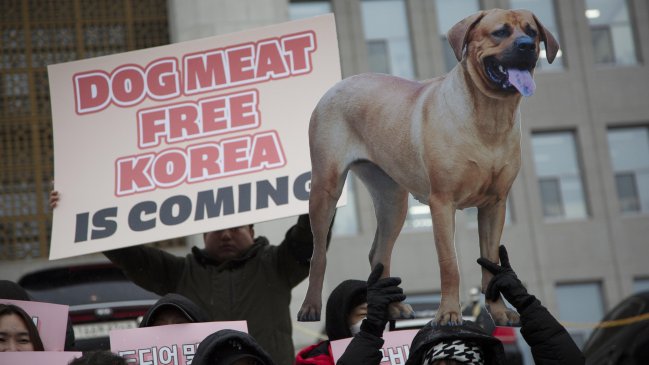  Corea del Sur prohibió el consumo de carne de perro  