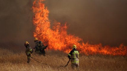  Incendios forestales: Delegada en La Araucanía acusa 
