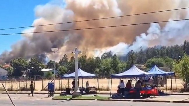   La Araucanía: Cinco comunas están en alerta roja por incendios forestales activos 
