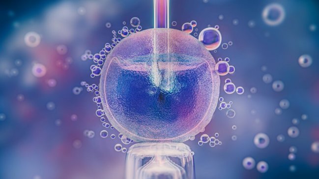   Hospital de Alabama pausó fertilizaciones in vitro tras fallo que dictaminó que embriones son niños 