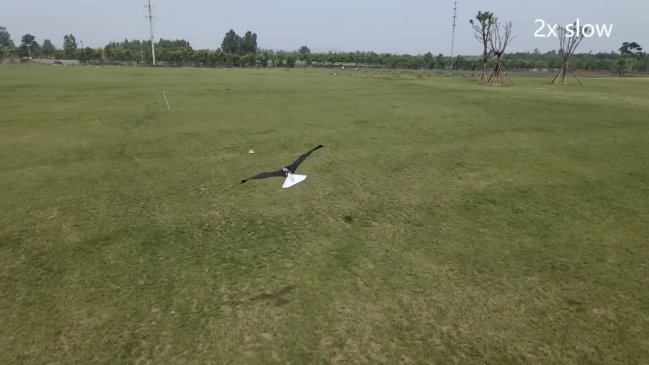   China presenta un avión que imita el vuelo de las aves 